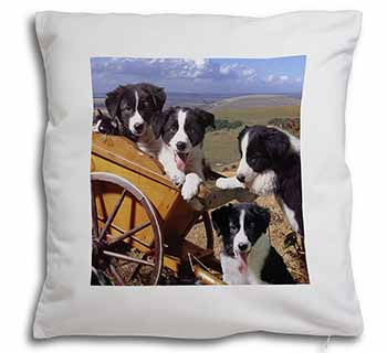 Border Collie Soft White Velvet Feel Scatter Cushion