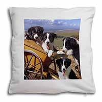 Border Collie Soft White Velvet Feel Scatter Cushion