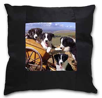 Border Collie Black Satin Feel Scatter Cushion