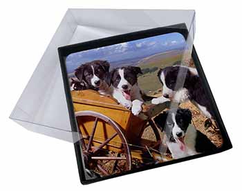4x Border Collie Picture Table Coasters Set in Gift Box