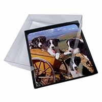 4x Border Collie Picture Table Coasters Set in Gift Box