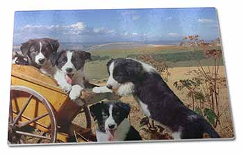 Large Glass Cutting Chopping Board Border Collie