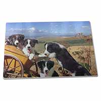 Large Glass Cutting Chopping Board Border Collie