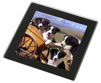 Border Collie Black Rim High Quality Glass Coaster