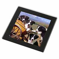 Border Collie Black Rim High Quality Glass Coaster