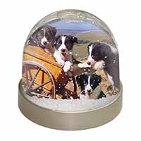 Border Collie Snow Globe Photo Waterball