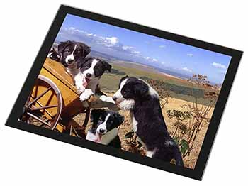 Border Collie Black Rim High Quality Glass Placemat