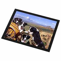 Border Collie Black Rim High Quality Glass Placemat