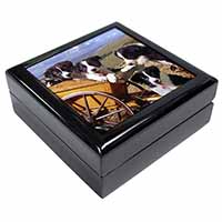 Border Collie Keepsake/Jewellery Box