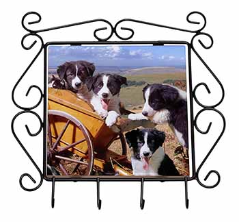 Border Collie Wrought Iron Key Holder Hooks