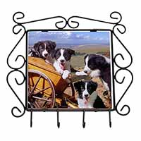 Border Collie Wrought Iron Key Holder Hooks