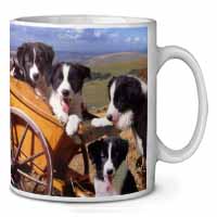 Border Collie Ceramic Coffee Mug/Tea Cup