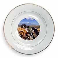 Border Collie Gold Rim Plate Printed Full Colour in Gift Box