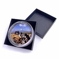 Border Collie Glass Paperweight in Gift Box
