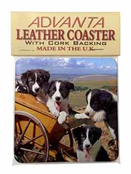 Border Collie Single Leather Photo Coaster