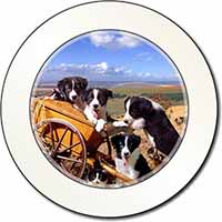 Border Collie Car or Van Permit Holder/Tax Disc Holder