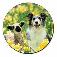 Border Collie Dog and Lamb Fridge Magnet Printed Full Colour
