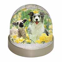 Border Collie Dog and Lamb Snow Globe Photo Waterball