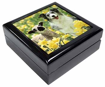 Border Collie Dog and Lamb Keepsake/Jewellery Box
