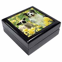 Border Collie Dog and Lamb Keepsake/Jewellery Box