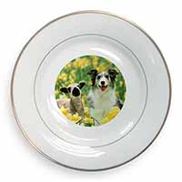 Border Collie Dog and Lamb Gold Rim Plate Printed Full Colour in Gift Box