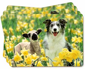 Border Collie Dog and Lamb Picture Placemats in Gift Box