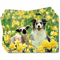 Border Collie Dog and Lamb Picture Placemats in Gift Box