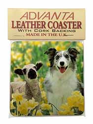 Border Collie Dog and Lamb Single Leather Photo Coaster