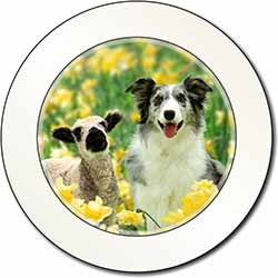Border Collie Dog and Lamb Car or Van Permit Holder/Tax Disc Holder