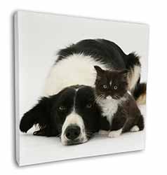 Border Collie and Kitten Square Canvas 12"x12" Wall Art Picture Print
