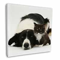 Border Collie and Kitten Square Canvas 12"x12" Wall Art Picture Print