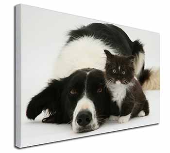 Border Collie and Kitten Canvas X-Large 30"x20" Wall Art Print