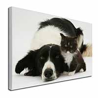 Border Collie and Kitten Canvas X-Large 30"x20" Wall Art Print