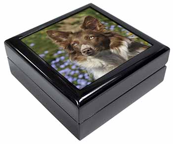 Red Border Collie Dog Keepsake/Jewellery Box