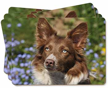 Red Border Collie Dog Picture Placemats in Gift Box