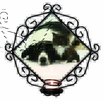 Border Collie and Kitten Wrought Iron Wall Art Candle Holder