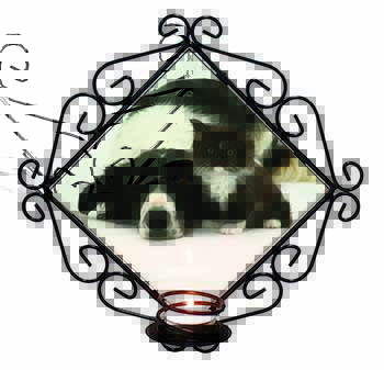 Border Collie and Kitten Wrought Iron Wall Art Candle Holder