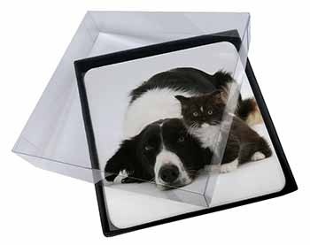 4x Border Collie and Kitten Picture Table Coasters Set in Gift Box