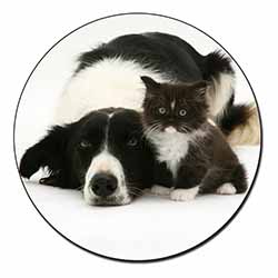 Border Collie and Kitten Fridge Magnet Printed Full Colour