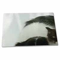 Large Glass Cutting Chopping Board Border Collie and Kitten