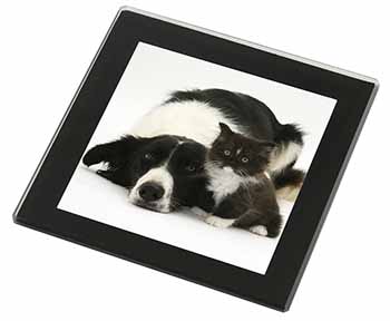 Border Collie and Kitten Black Rim High Quality Glass Coaster