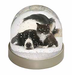 Border Collie and Kitten Snow Globe Photo Waterball