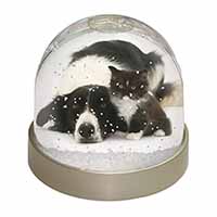 Border Collie and Kitten Snow Globe Photo Waterball