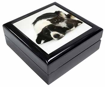 Border Collie and Kitten Keepsake/Jewellery Box
