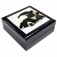 Border Collie and Kitten Keepsake/Jewellery Box