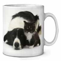 Border Collie and Kitten Ceramic 10oz Coffee Mug/Tea Cup