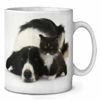 Border Collie and Kitten Ceramic Coffee Mug/Tea Cup