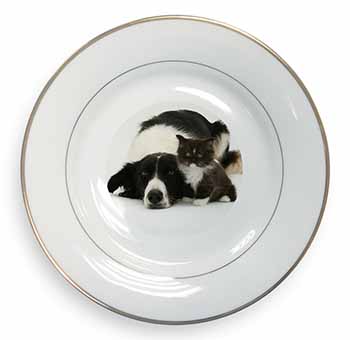 Border Collie and Kitten Gold Rim Plate Printed Full Colour in Gift Box