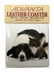 Border Collie and Kitten Single Leather Photo Coaster