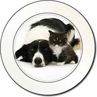 Border Collie and Kitten Car or Van Permit Holder/Tax Disc Holder